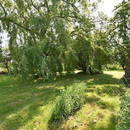 Spacious Holiday Home In Hornstorf With Trampoline エクステリア 写真