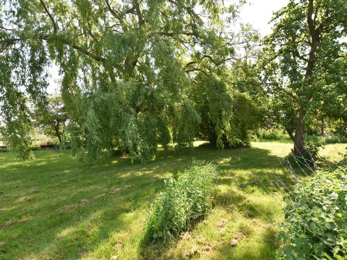 Spacious Holiday Home In Hornstorf With Trampoline エクステリア 写真